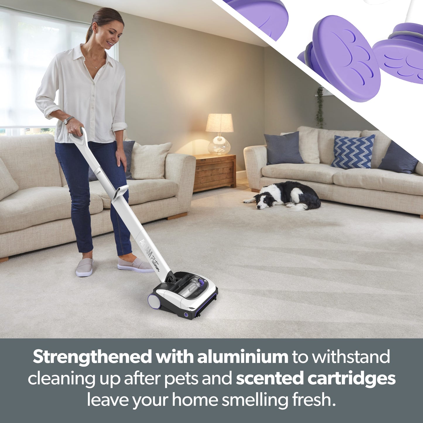 System Platinum Anti Hair Wrap Cordless Vacuum Bundle