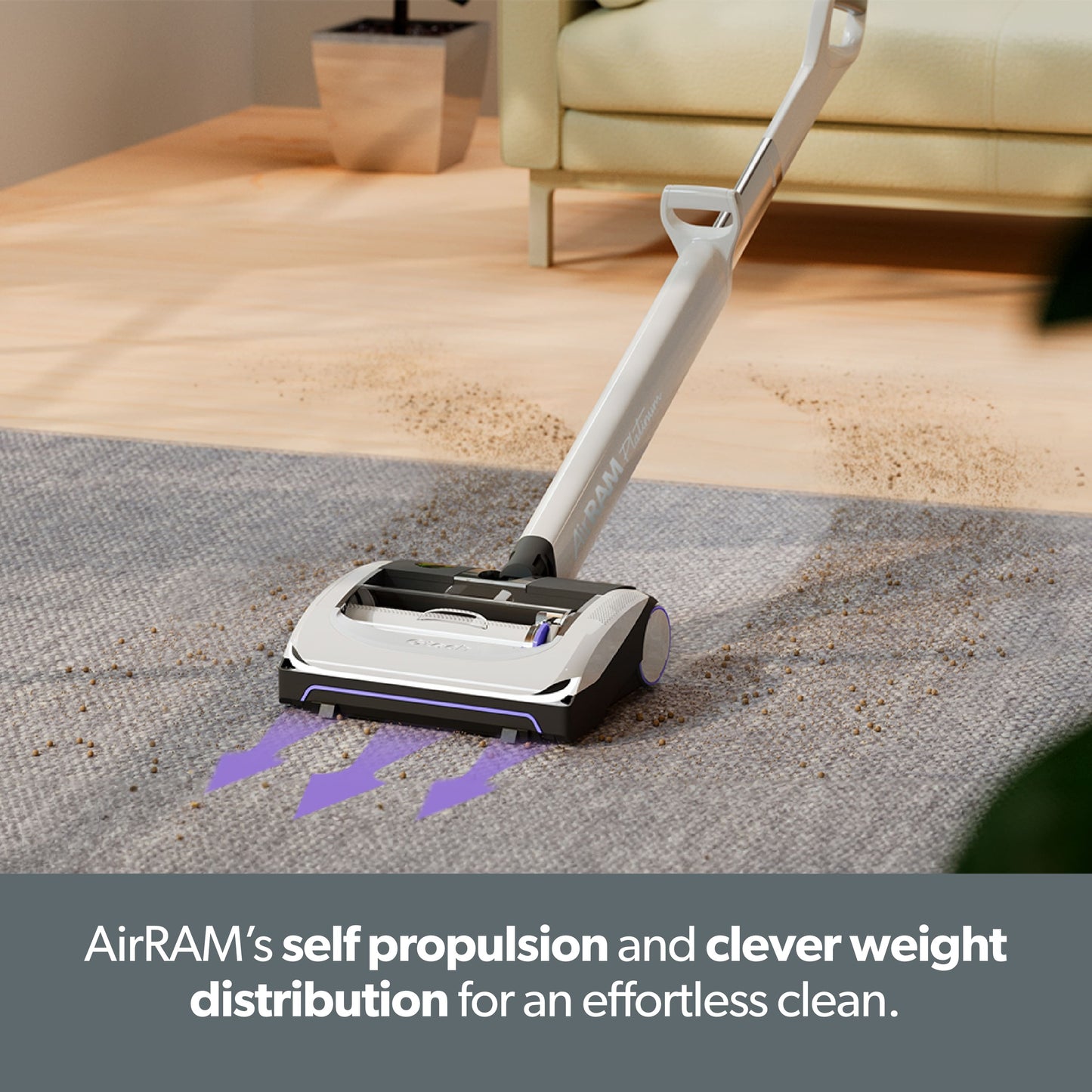 System Platinum Anti Hair Wrap Cordless Vacuum Bundle