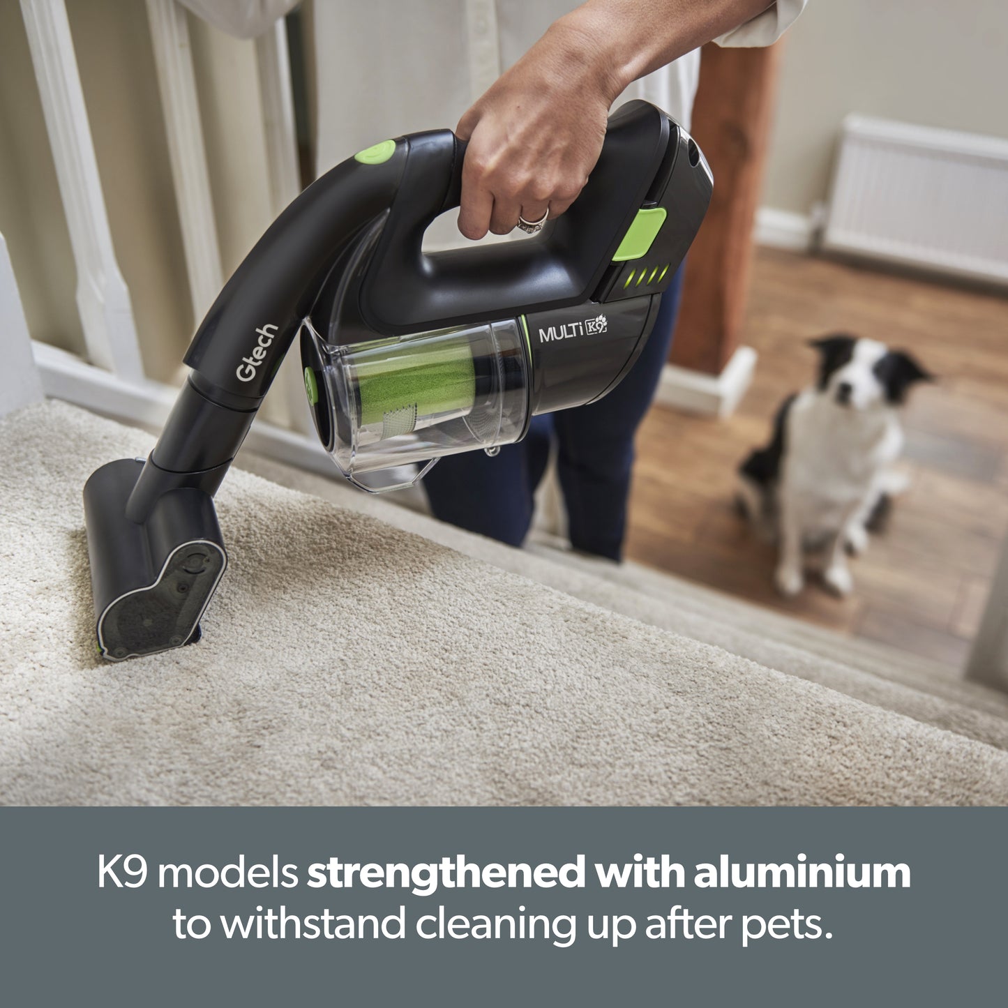 Pet & Family Clean Bundle