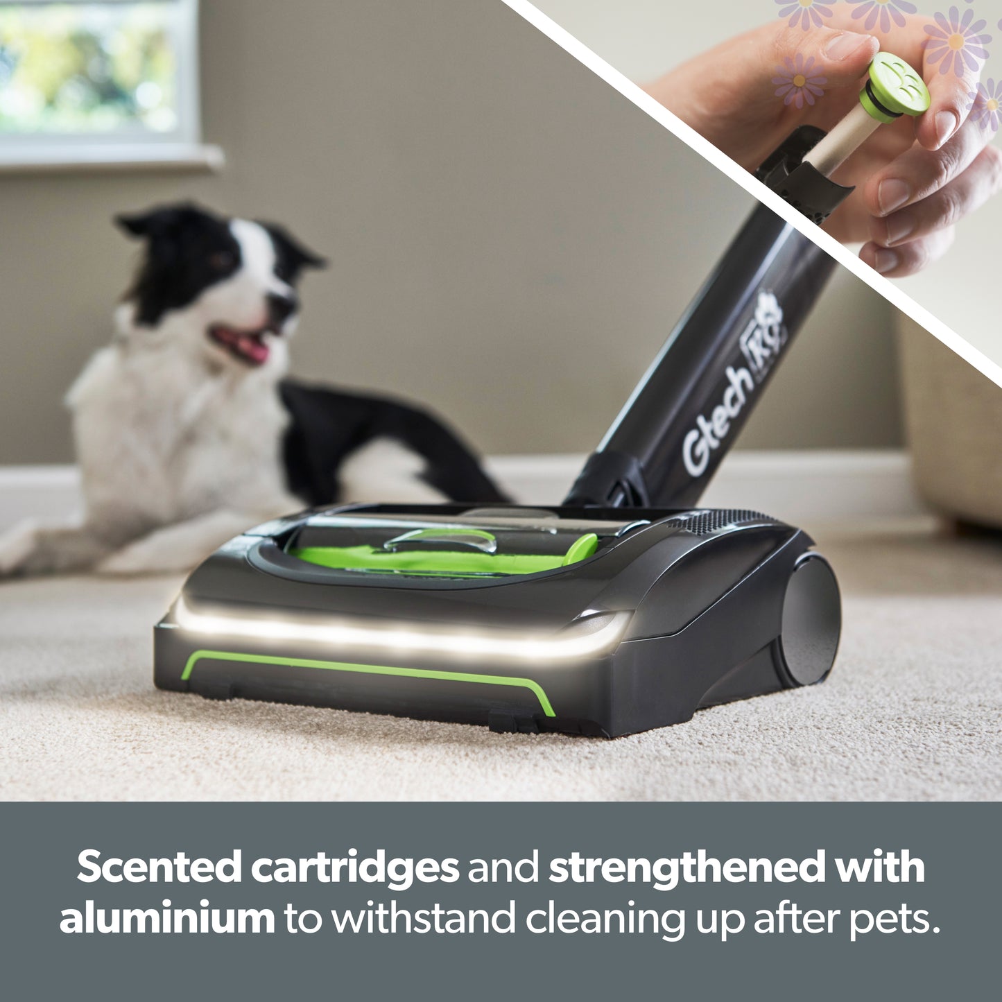 Pet & Family Clean Bundle