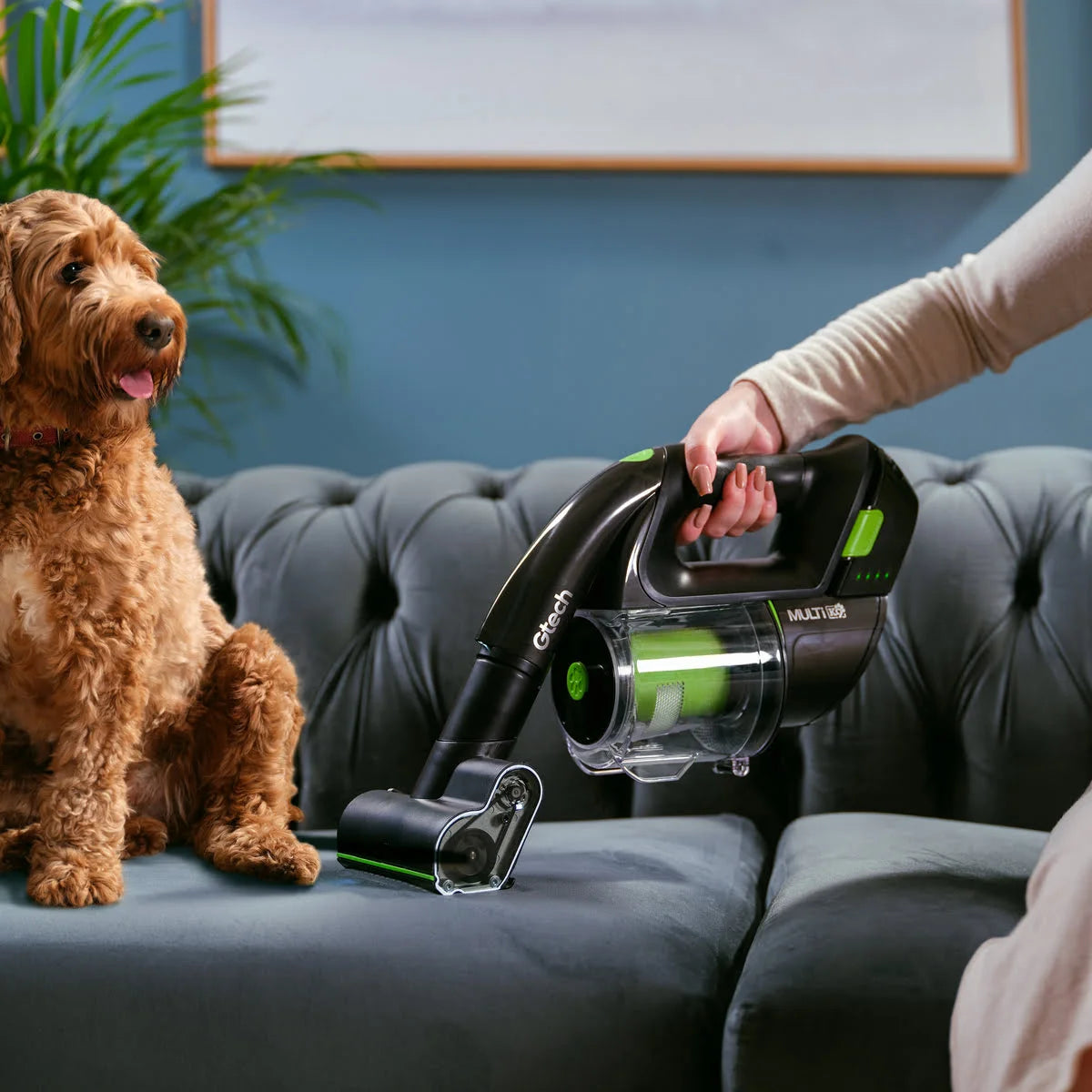 Person using Multi Pet handheld cordless vacuum cleaner on a gray sofa with a dog sitting nearby.
